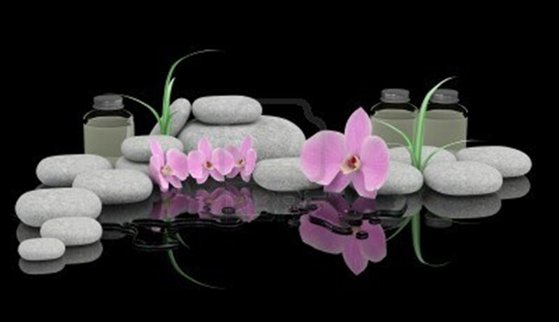 Pink Orchids and Stones