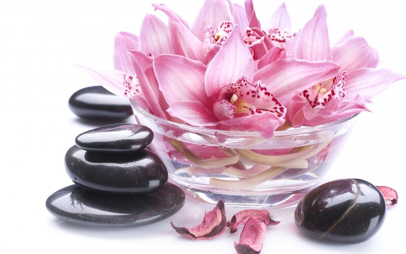Pink Orchids in Bowl — Serene