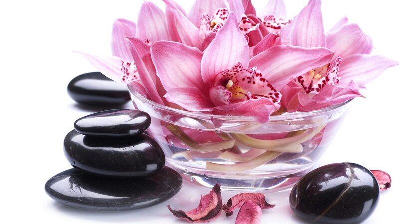 Pink Orchids in Bowl
