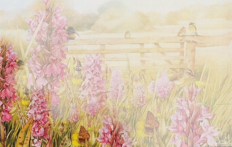 Pink Orchids in Field
