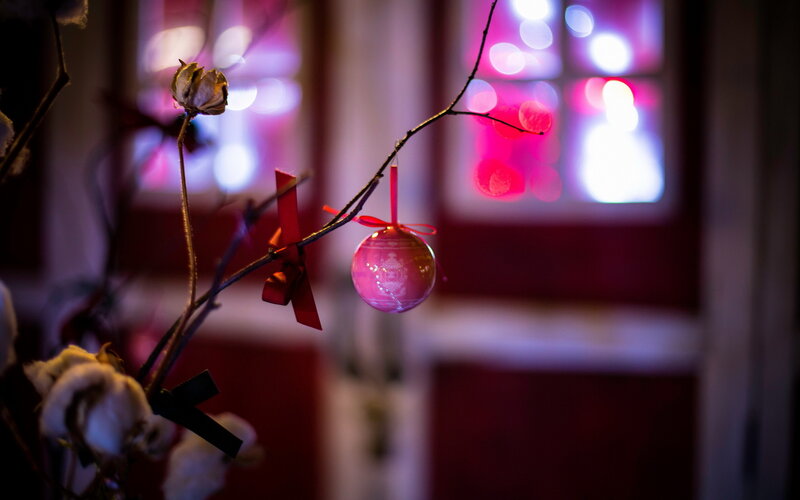 Pink Ornament on Branch