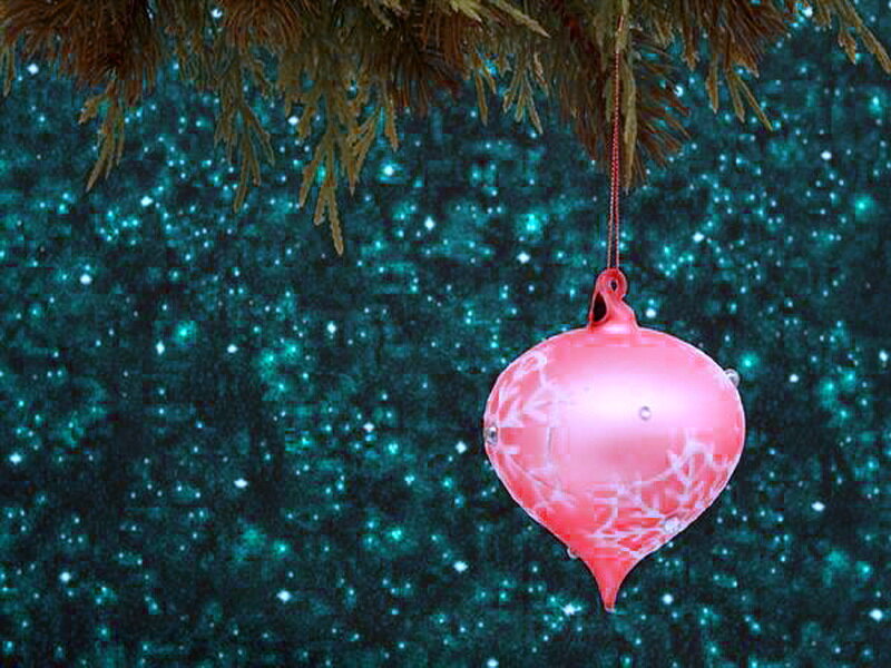 Pink Ornament on Tree