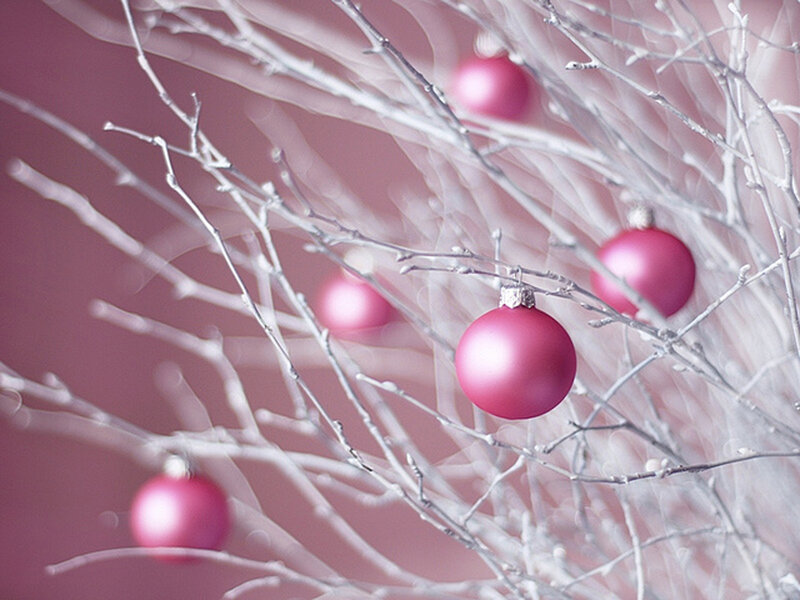 Pink Ornaments on Branches — Calm