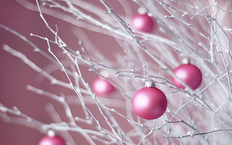 Pink Ornaments on Branches — Calm, Winter