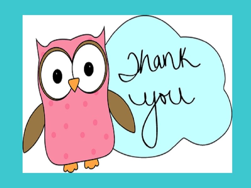Pink Owl Cartoon