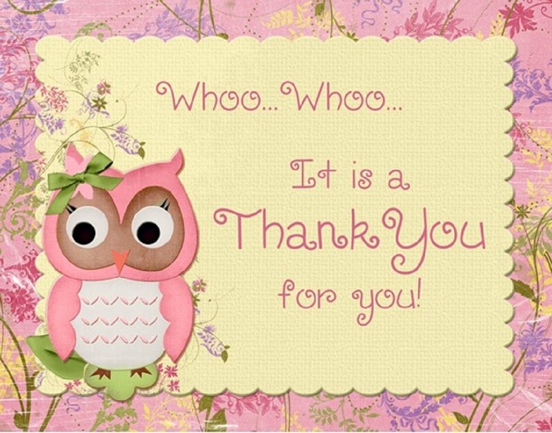 Pink Owl Illustration