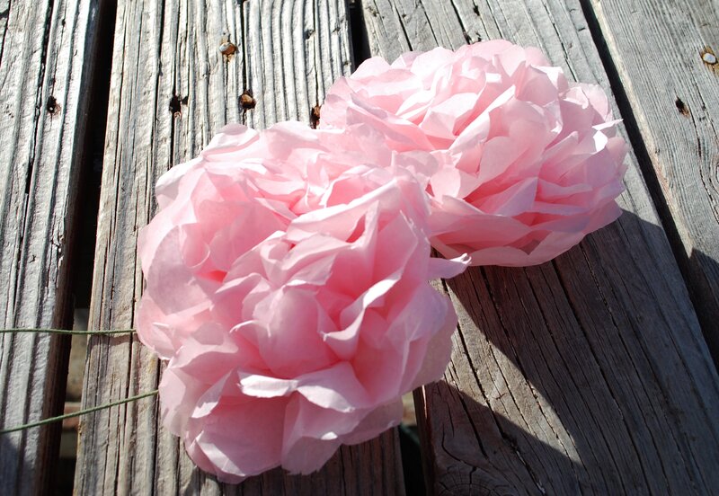 Pink Paper Flowers