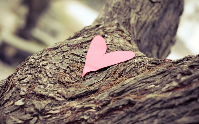 Pink Paper Heart — Calm
