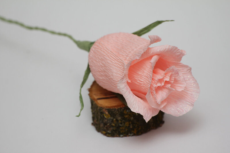 Pink Paper Rose — Calm