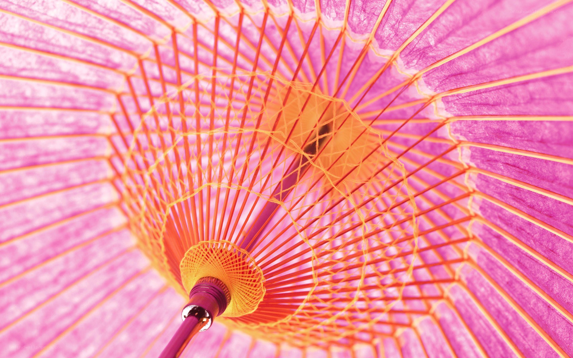 pink paper umbrella interior