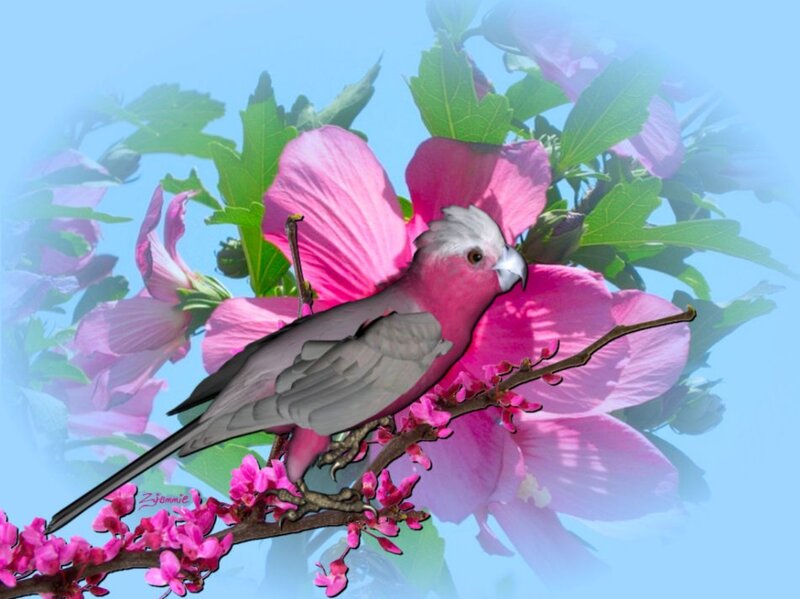 Pink Parrot on Branch