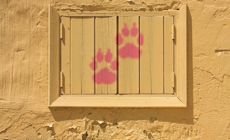 Pink Paw Prints on Shutters