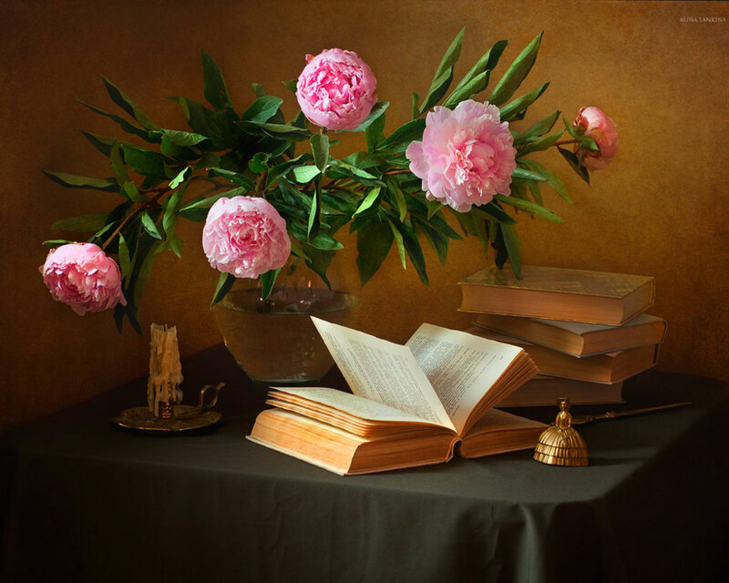 Pink Peonies and Books