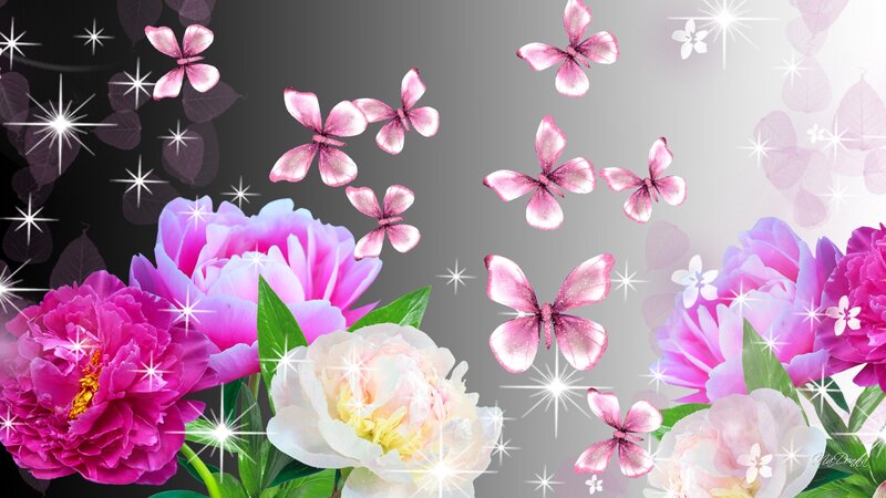 Pink Peonies and Butterflies — Dreamy