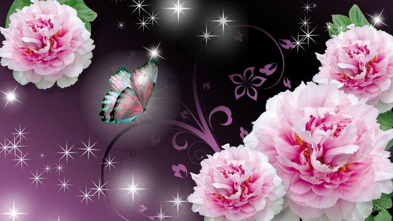 Pink Peonies and Butterfly