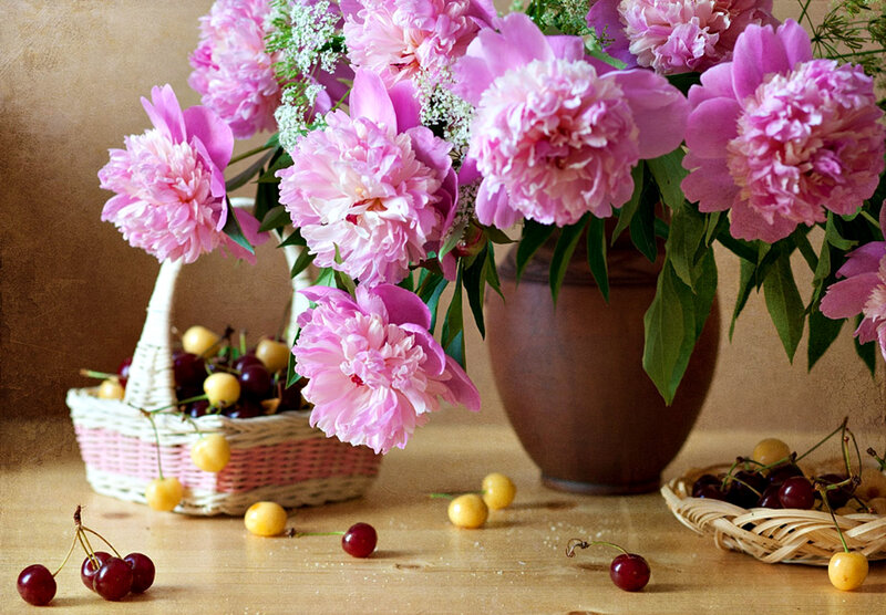 Pink Peonies and Cherries — Calm