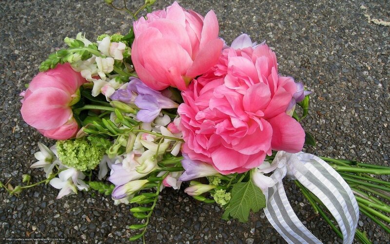 Pink peonies and freesia bouquet