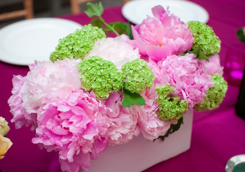 Pink Peonies and Green Hydrangeas — Festive