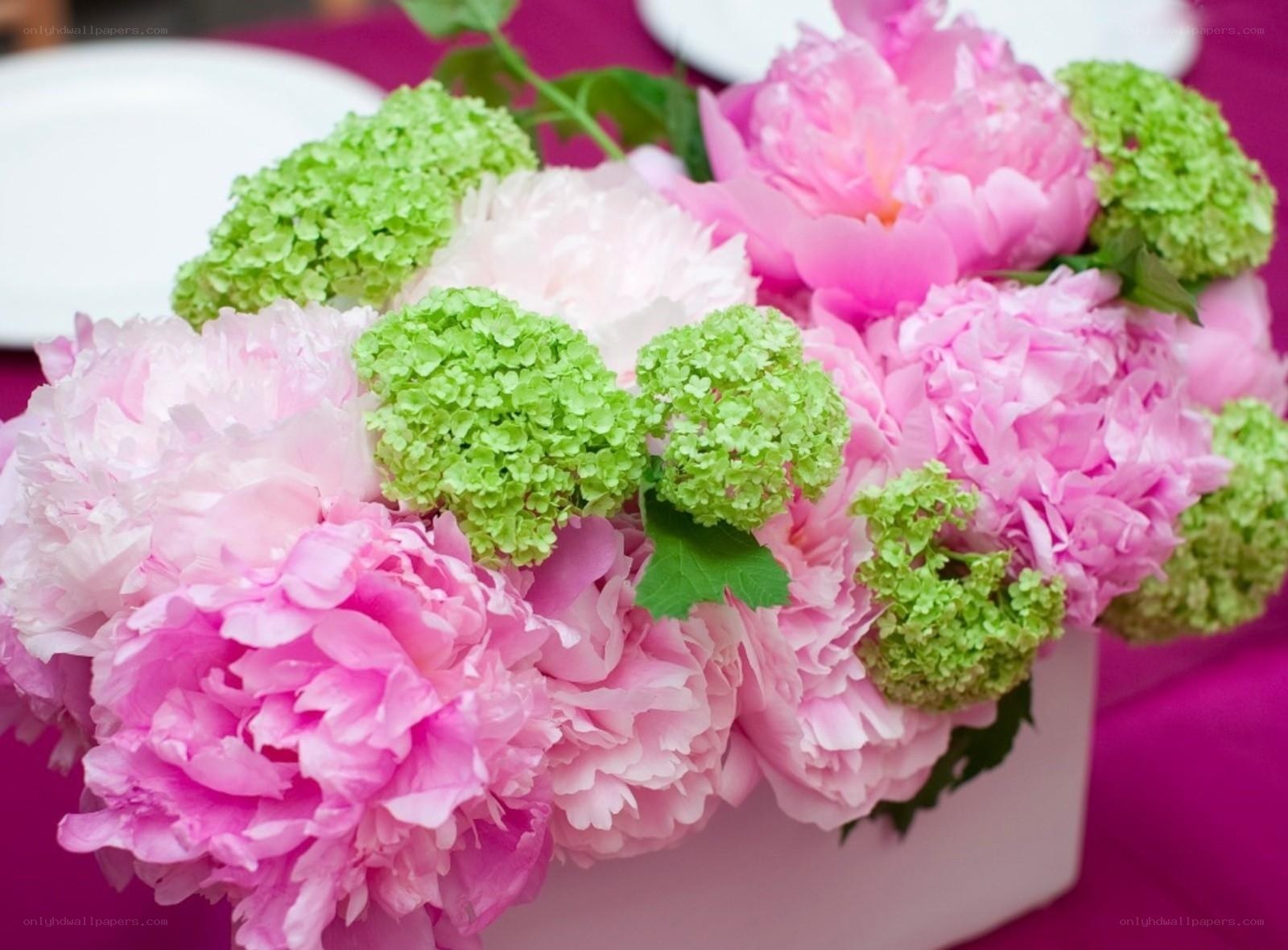 Pink peonies and green hydrangeas