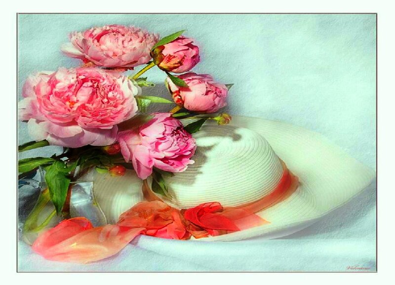 Pink Peonies and Hat