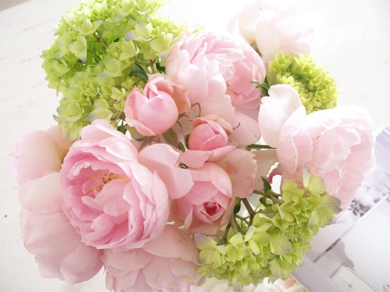 Pink Peonies and Hydrangeas — Serene, Spring