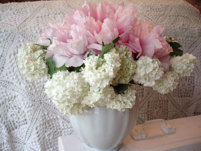 Pink Peonies and Hydrangeas — Serene