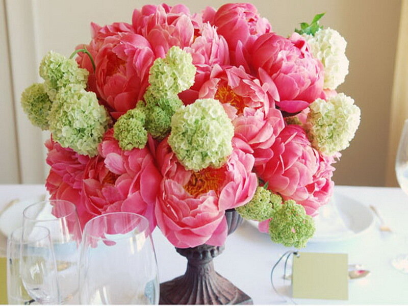 Pink Peonies and Hydrangeas