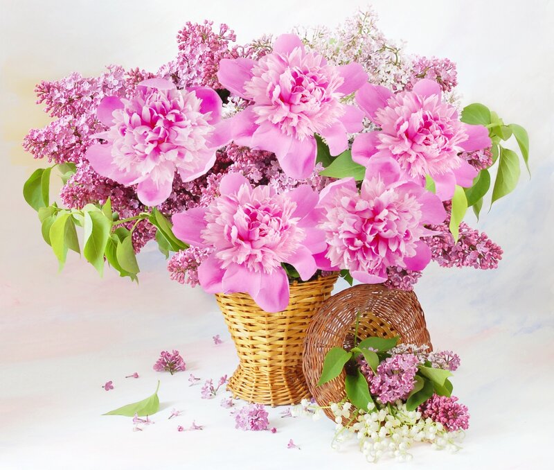 Pink Peonies and Lilacs — Serene, Spring