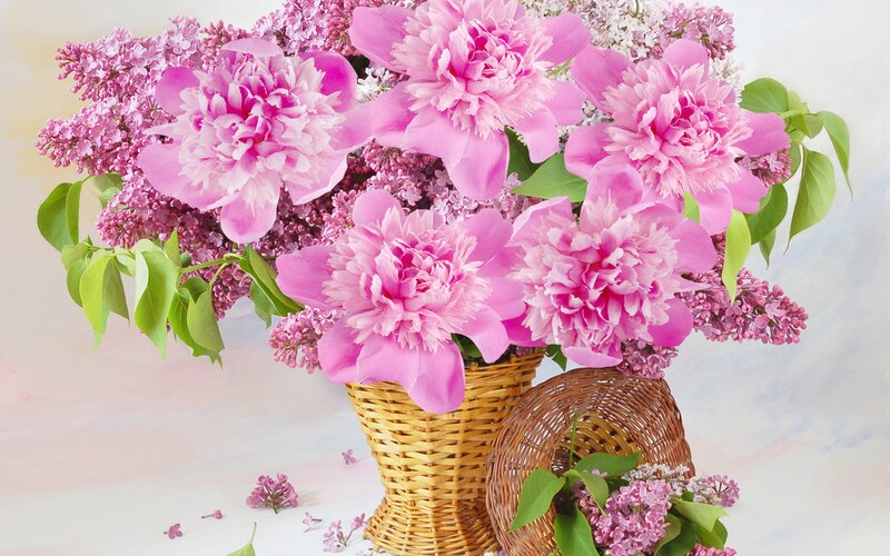 Pink Peonies and Lilacs — Serene