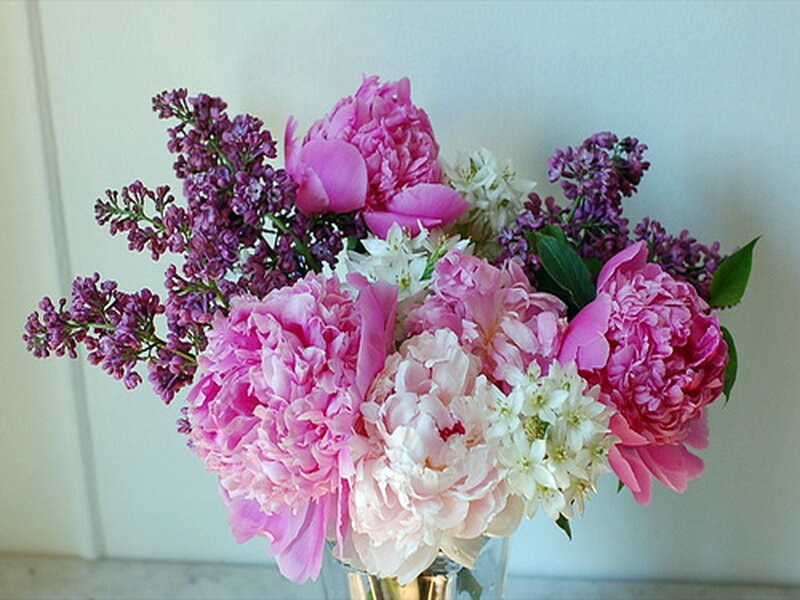 Pink Peonies and Lilacs