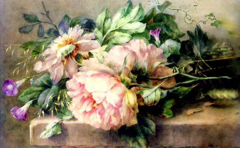 Pink peonies and morning glories