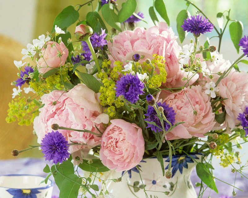 Pink Peonies and Purple Flowers