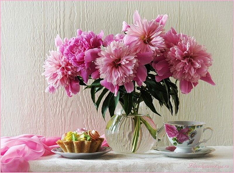 Pink peonies and tea