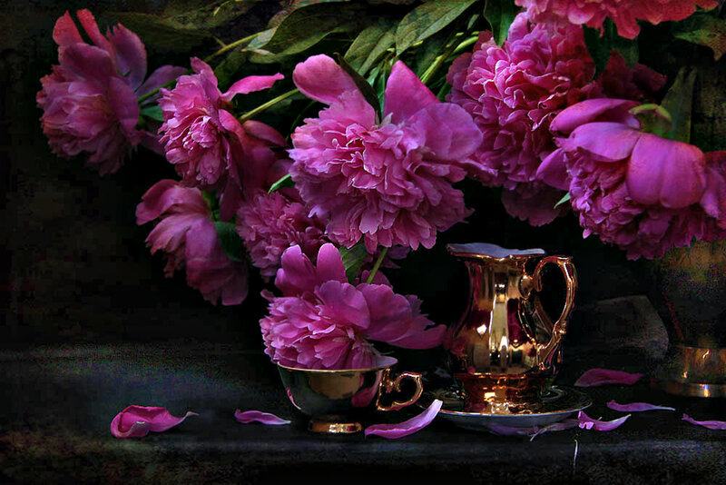 Pink Peonies and Teacup