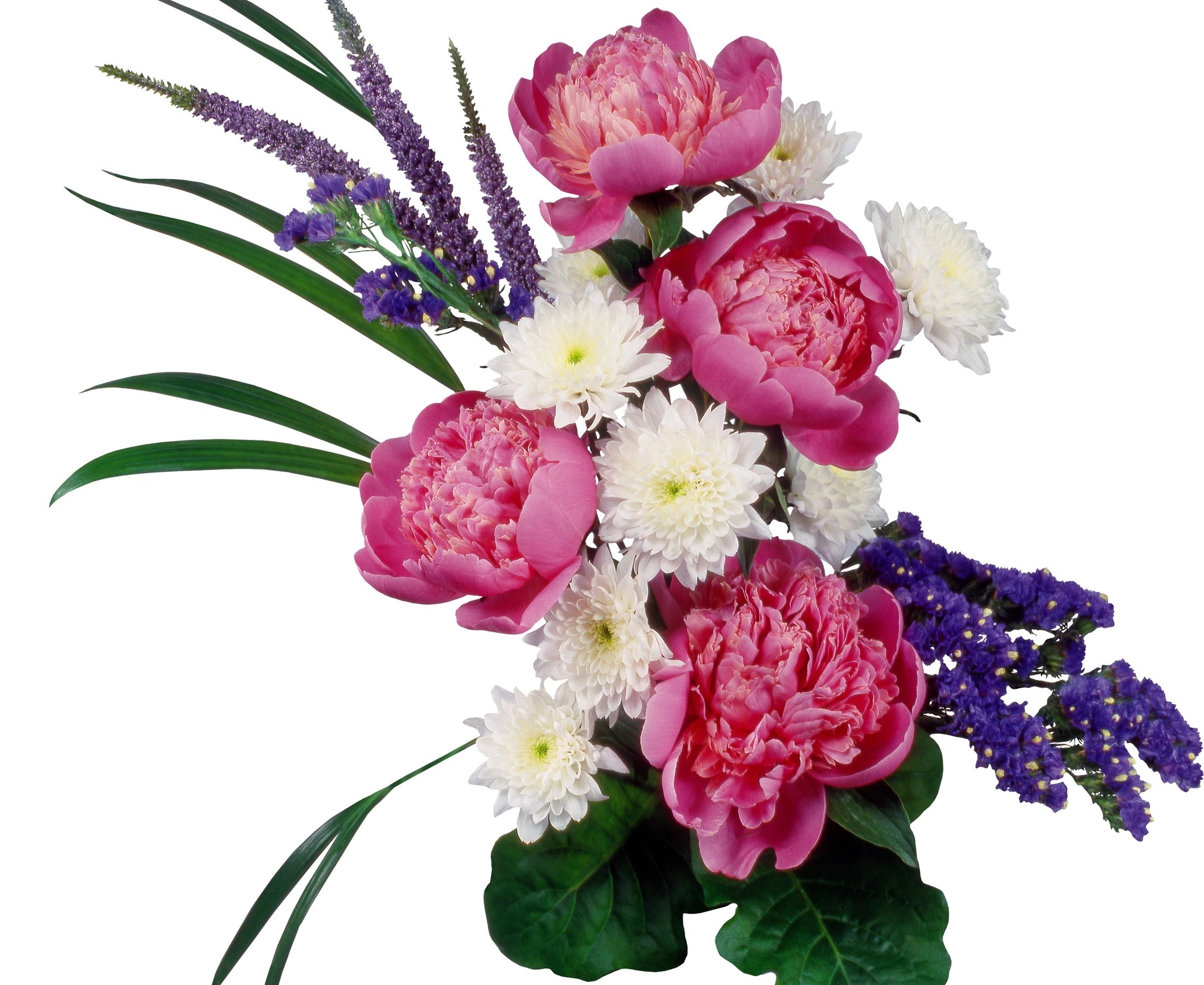 Pink peonies and white chrysanthemums