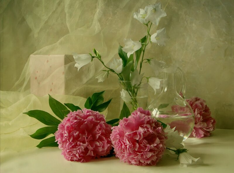 Pink Peonies and White Flowers — Serene
