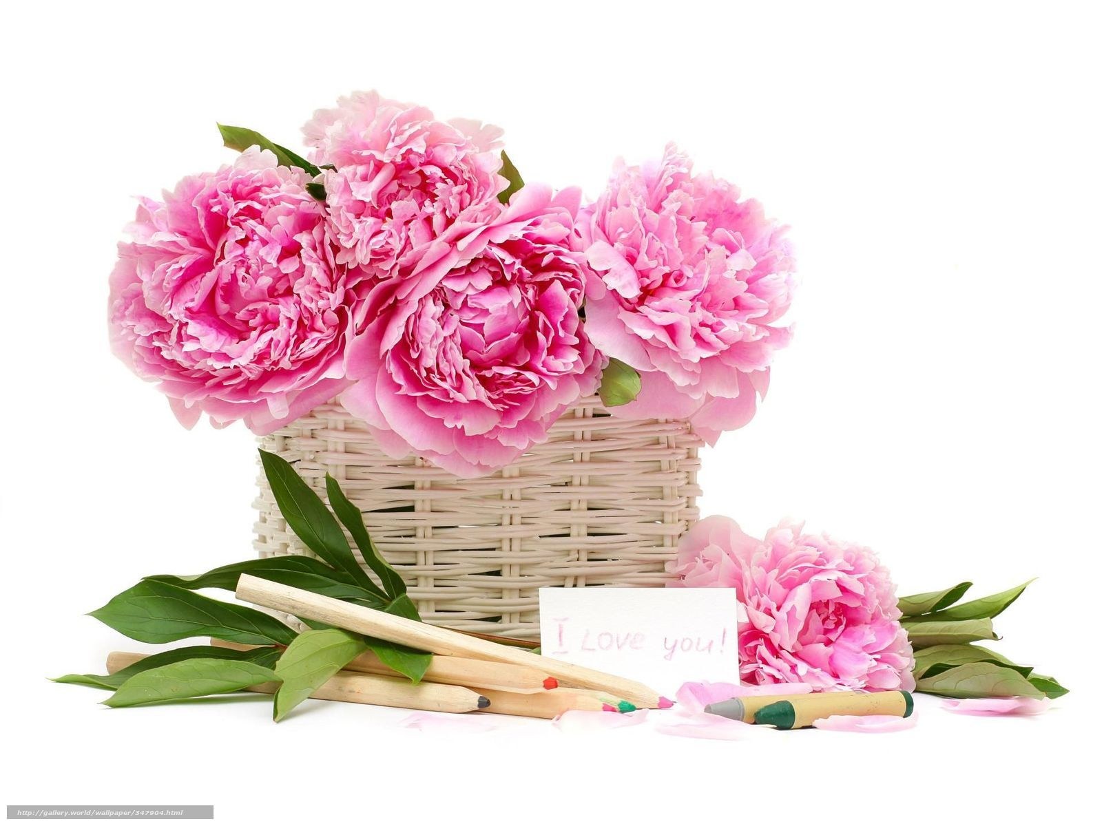 Pink peonies in a basket