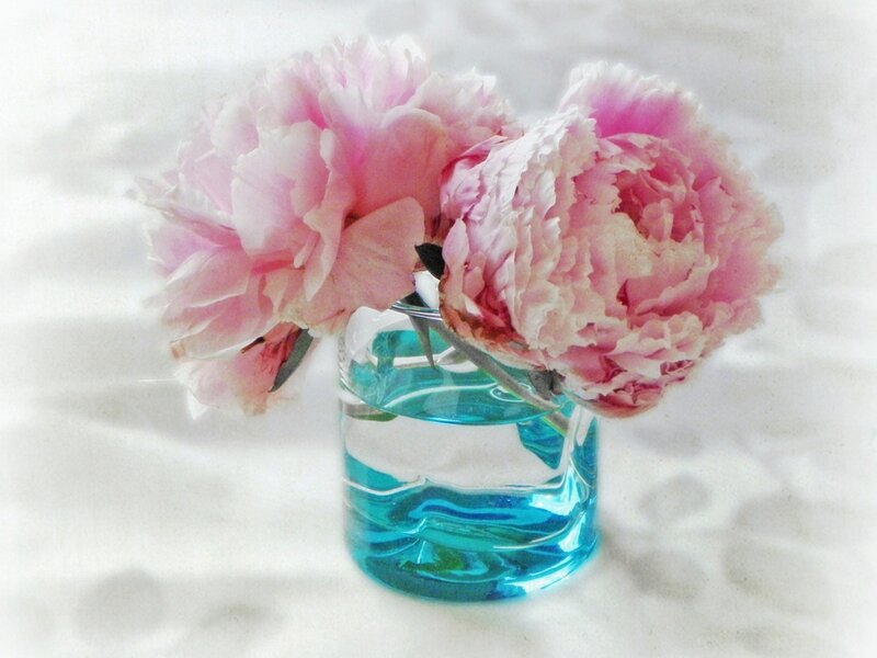 Pink peonies in a blue vase