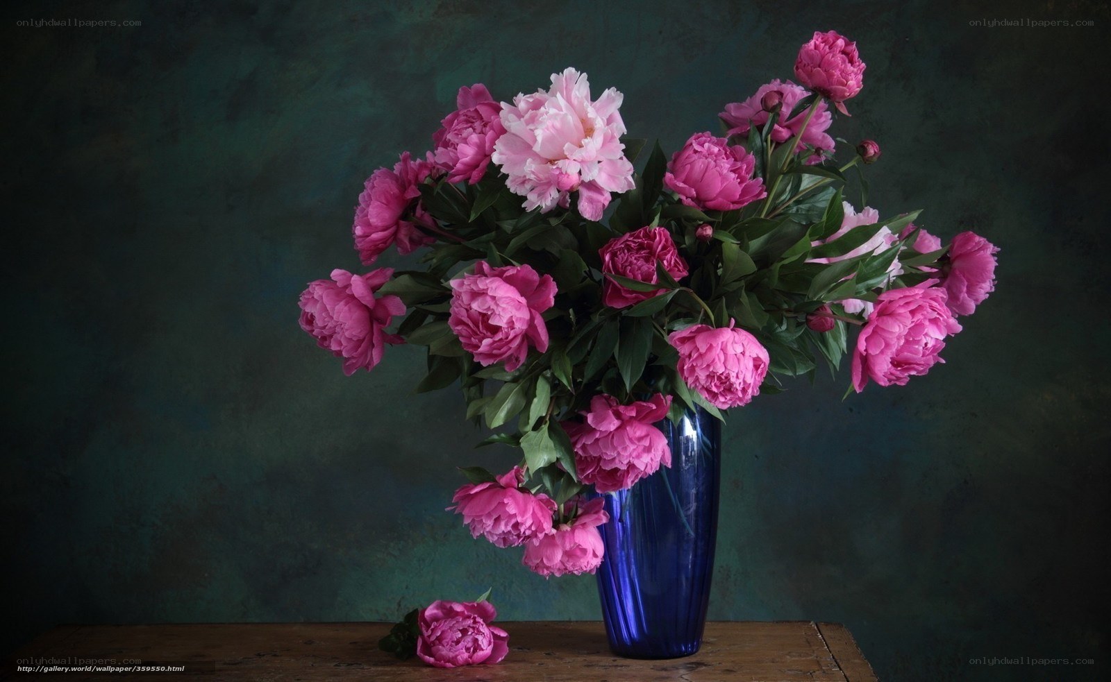 Pink peonies in a blue vase