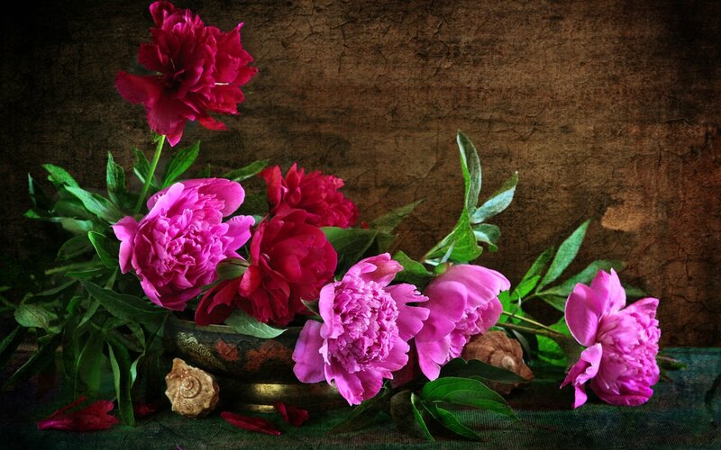 Pink Peonies in a Bowl