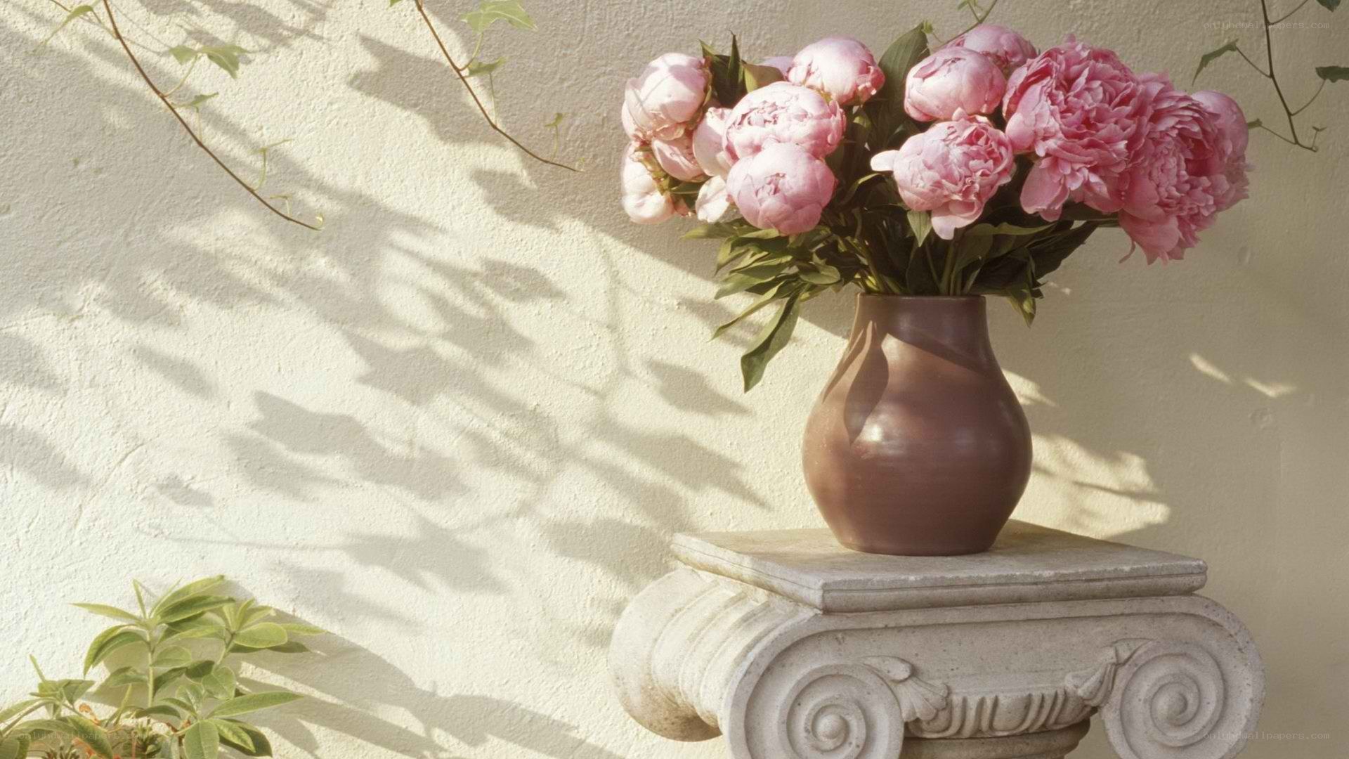 Pink peonies in a vase