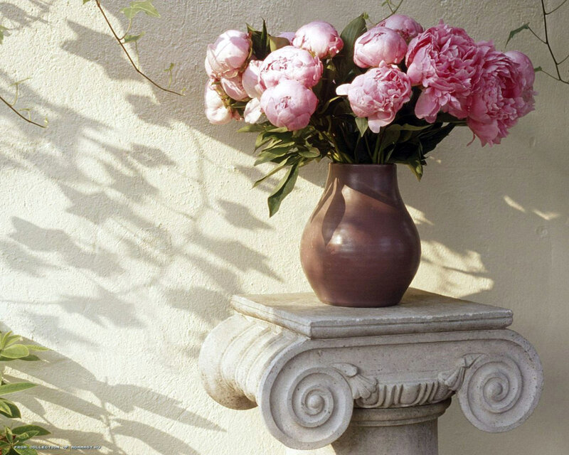 Pink peonies in a vase