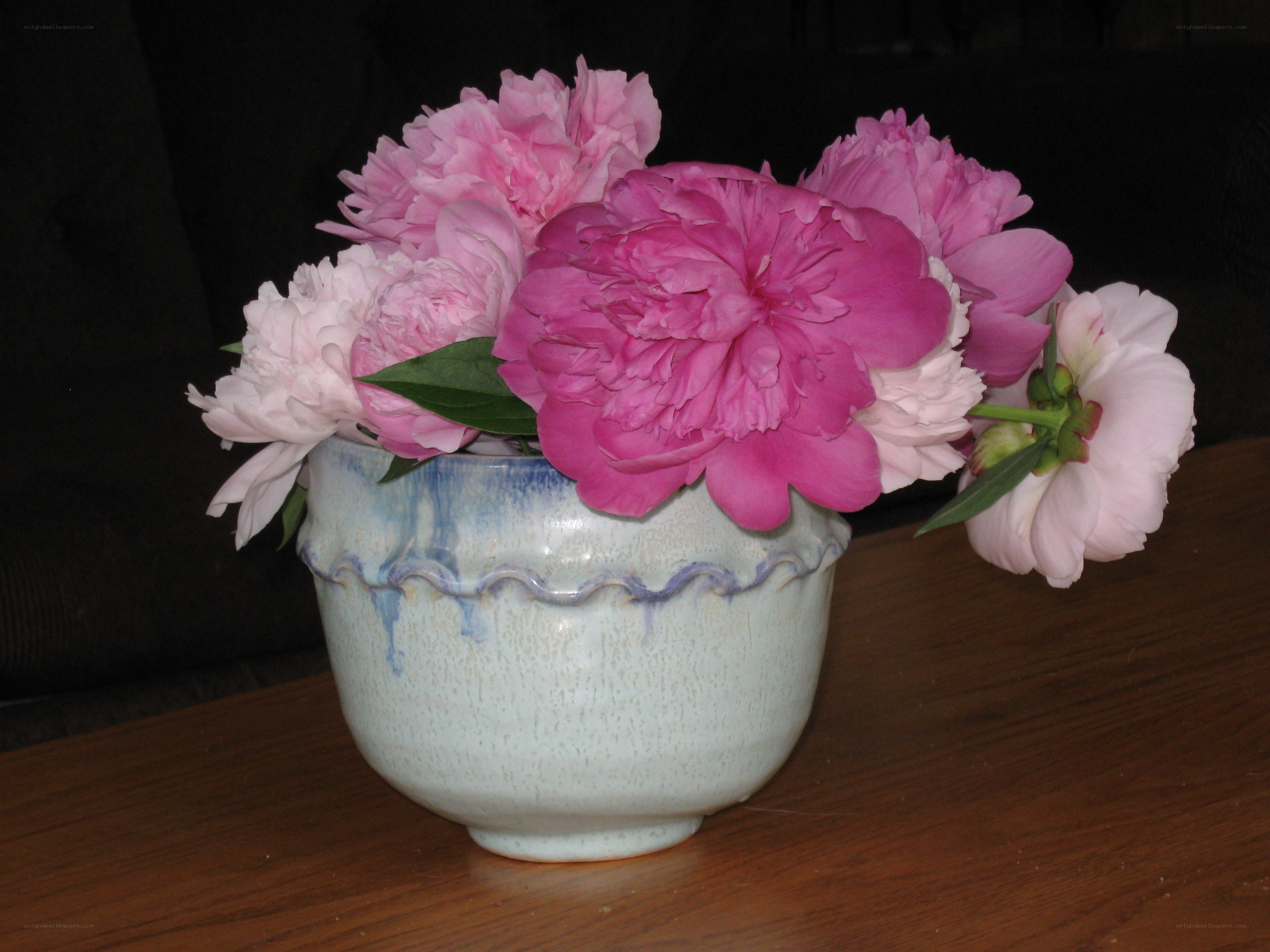 Pink peonies in a vase