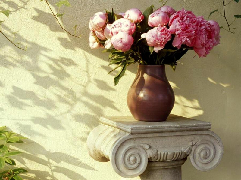 Pink peonies in a vase