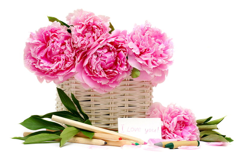 Pink Peonies in Basket — Calm, Photograph