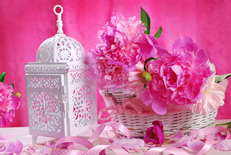 Pink Peonies in Basket — Festive