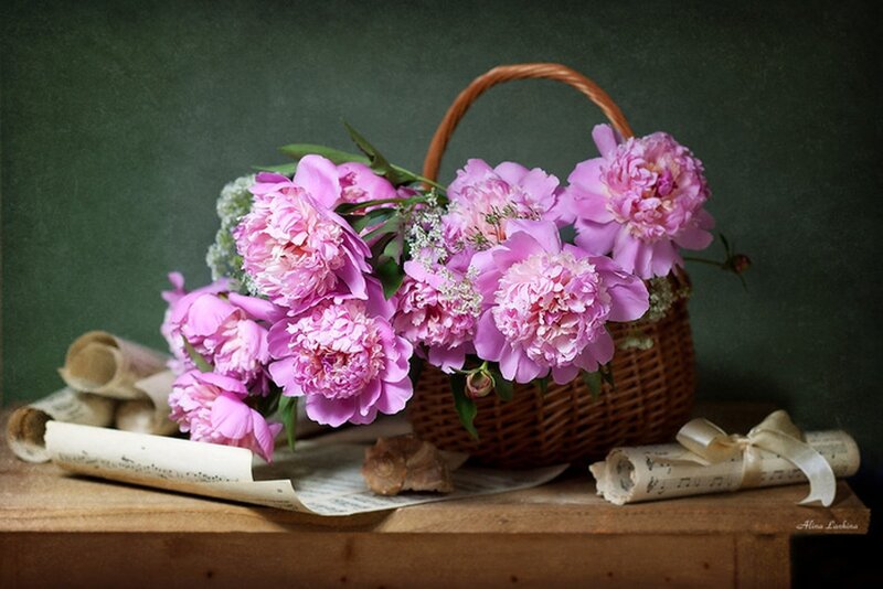 Pink Peonies in Basket — Serene, Photograph, Sheet Music
