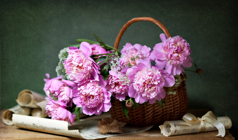 Pink Peonies in Basket — Serene, Photograph
