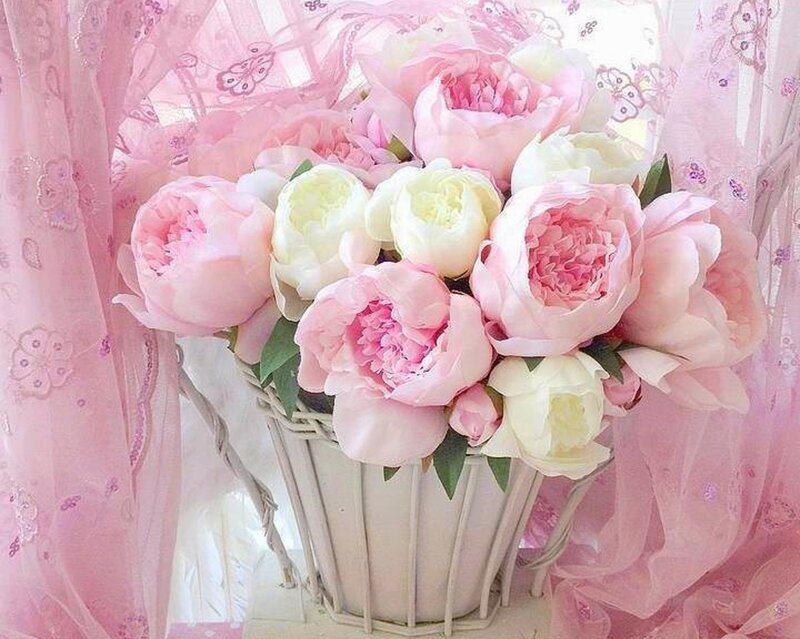 Pink Peonies in Basket — Soft