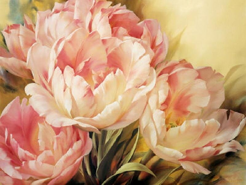 Pink Peonies in Bloom — Serene